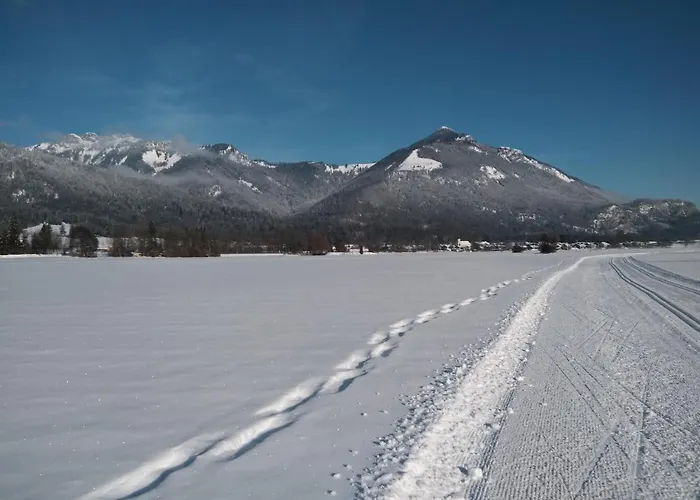 Pilzhof *