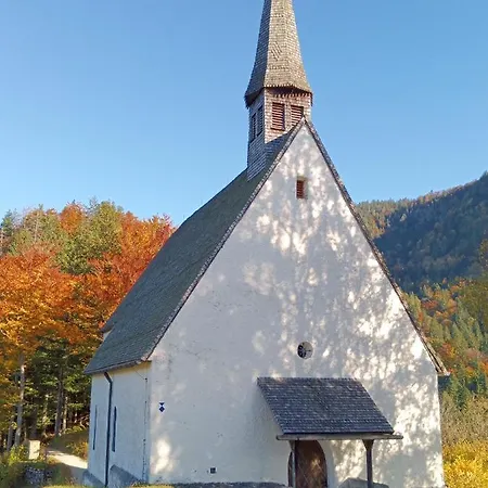 Pilzhof *