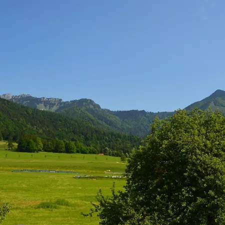 Pilzhof *