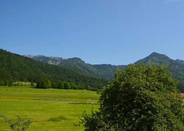 Pilzhof *
